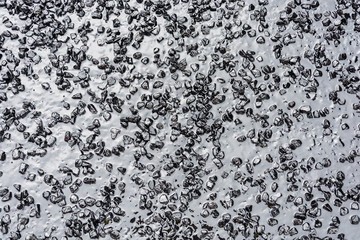 Texture small stones in the bitumen.