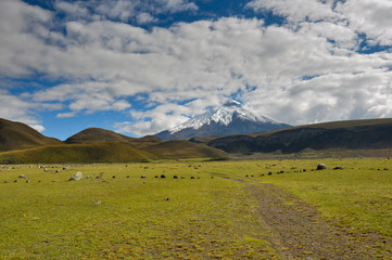 Obraz premium Volcano in Cotopaxi National Park, Ecuador