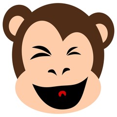 Monkey face expression isolated on white