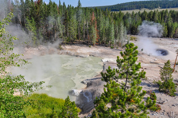 One of the many scenic landscapes of Yellowstone National Park,