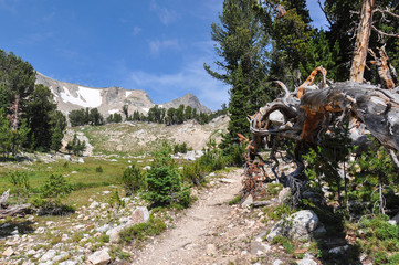 Paintbrush Canyon Trail in Grand Tetons National Park, Wyoming,