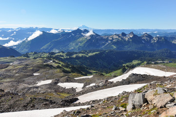 Fototapeta na wymiar Paradise trail in Mount Rainier National Park, Washington, USA