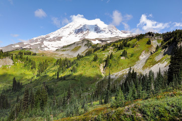 Fototapeta premium Paradise trail in Mount Rainier National Park, Washington, USA