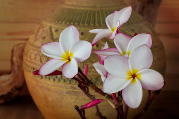 Sepia and antique colour tone of pink flower plumeria bunch