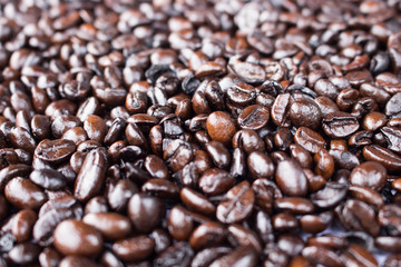 coffee beans