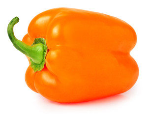 Single orange pepper with green stem isolated on white background