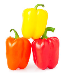Colored  pepper isolated on a white background