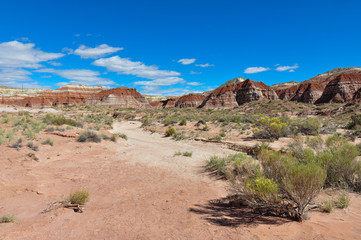 Wahweap hoodoo's trail near Page, Arizona, USA