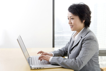 Businesswoman uses laptop in a well-lit, sunny office.