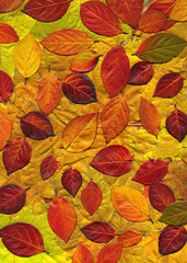 Autumn leaves background