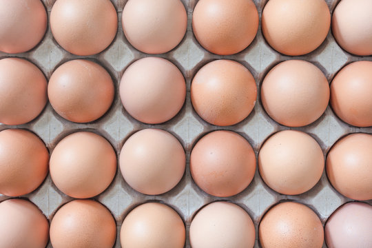 Eggs in paper tray on wood background