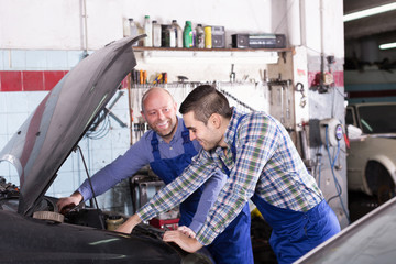 Professional mechanics repairing car