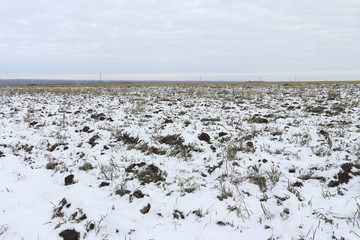 The plowed field in the winter