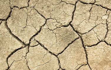 closeup cracked soil background