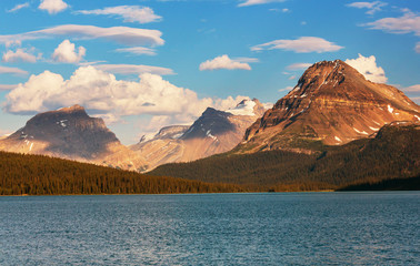 Bow lake