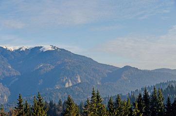  The Carpathian Mountains with pines forest, colored trees, cloudy vibrant sky, fog, autumn-winter time. Predeal, Romania.