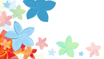 Fototapeta premium (with clipping path) isolated colourful tropical flowers with su