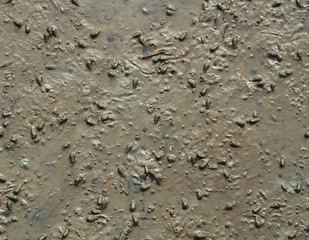 Gray mud, background and texture
