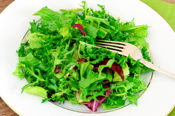 Green Fresh Salad on Plate.