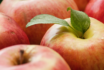 Group of red apples with their leaves