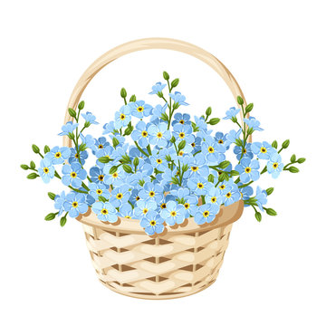 Vector beige wicker basket with blue forget-me-not flowers.