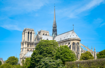 Fototapeta na wymiar beautiful view Notre Dame Cathedral in Paris France (French for