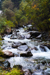 Fototapeta premium Mountain stream flowing over rocks. Cascade waterfalls. Altai Mountains, Russia