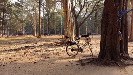 Bikes in the park in Cambodia