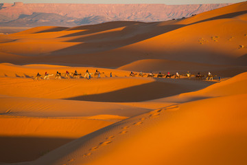 Maroko desert - obrazy, fototapety, plakaty
