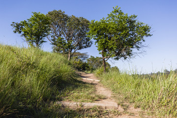 Footpath Hiking Wilderness  trail rural landscape summer.