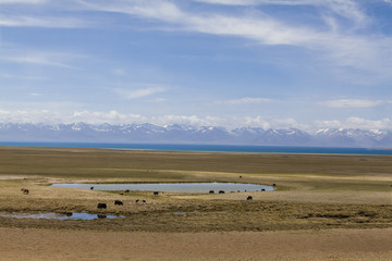 Obraz premium Namu Lake in Tibet, China