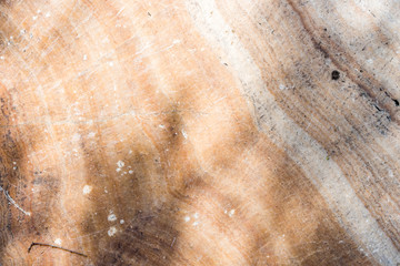 Marble patterned texture background in natural patterned 