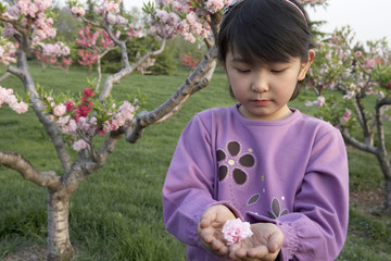Girl Holding Flowers In Cupped Hands In The Park