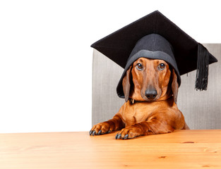 Graduated student at the table with text area