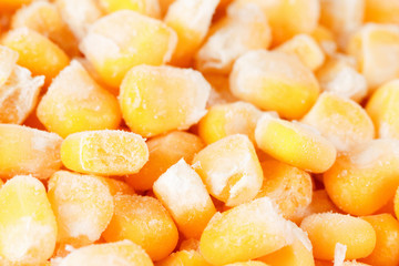 Frozen corn background