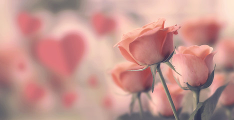  Happy valentine day soft pink nature color tone design, Blur and Select focus background