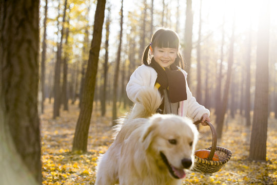 Little girl walking her dog with a basket in autumn woods