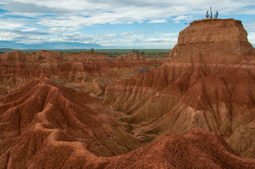 Cliff with cactus and valley of red orange sand stone rock formation in hot desert Tatacoa, Huila