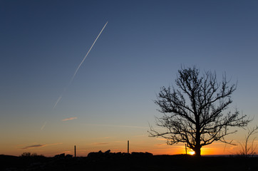 Naklejka premium Silhouette of a lone tree by a fence with a stone wall by sunset