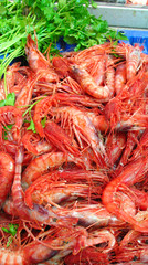 Red shrimps
