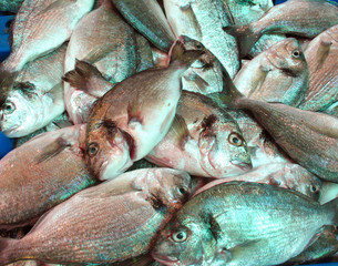 Fresh fish
