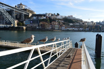 Ville de Porto, Région du Douro, Portugal
