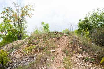 Fototapeta premium close up of rocky hill and trees