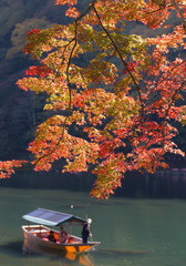 Arashiyama sightseeing, red maple leaves blooming at Arashiyama in Autumn with tourists in a boat service rowing in Katsura river with nice scenery, Kyoto, Japan