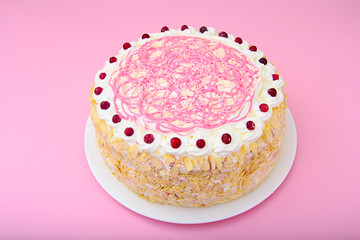 Dessert Cake with Cranberries