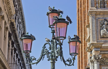 Fototapeta na wymiar Pigeons on lantern in Venice