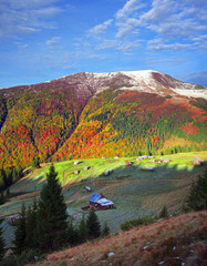 Autumn and winter together