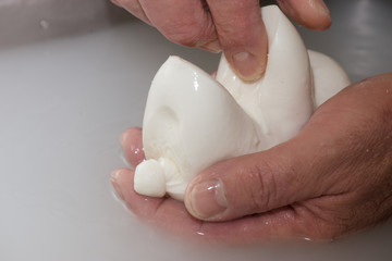 preparation of mozzarella in a dairy