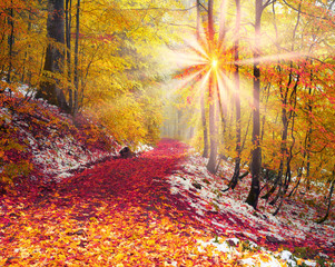 first snow in the autumn