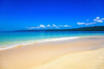sandy sea beach
